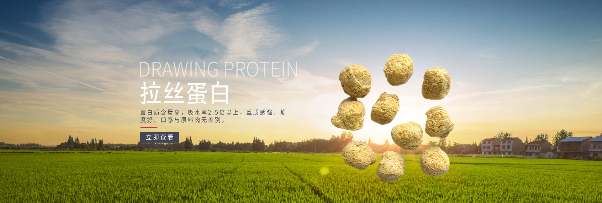 温县奇鹏生物科技有限公司